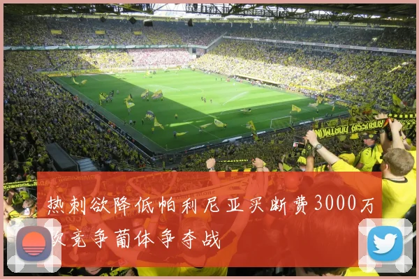 热刺欲降低帕利尼亚买断费3000万欧竞争葡体争夺战