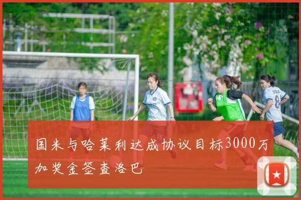 国米与哈莱利达成协议目标3000万加奖金签查洛巴