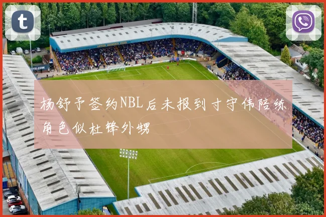 杨舒予签约NBL后未报到寸守伟陪练角色似杜锋外甥